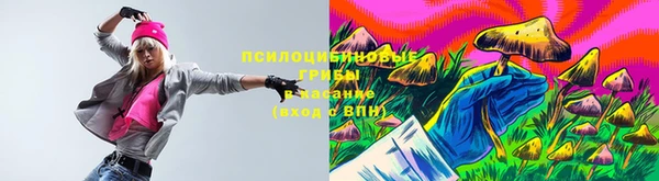 a pvp Киренск