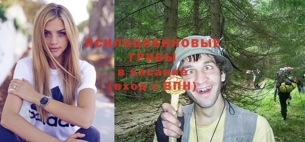 ALPHA PVP Кинешма